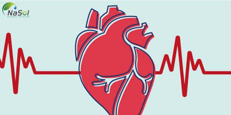 bệnh cao huyết áp