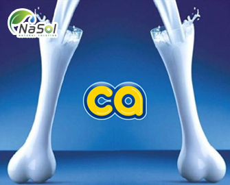 Canxi và sức khỏe xương khớp