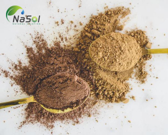 Carob so với Cacao