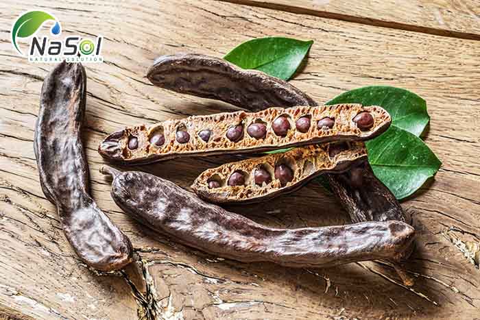 carob