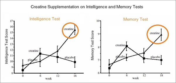 creatine cải thiện chức năng nhận thức