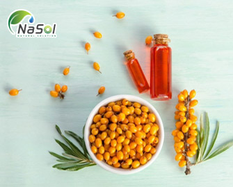 12 lợi ích sức khỏe hàng đầu của dầu Hắc mai biển