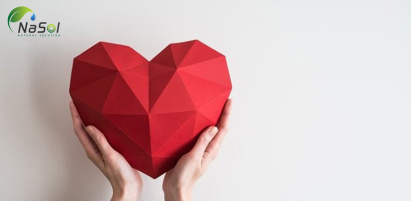 dầu hạnh nhân bảo vệ sức khỏe tim mạch