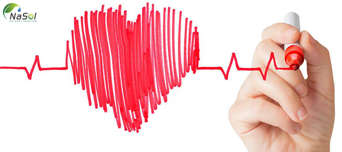 dầu hạt bí ngô hỗ trợ điều trị bệnh tim mạch