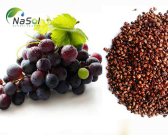 Dầu hạt Nho đen và lợi ích sức khỏe