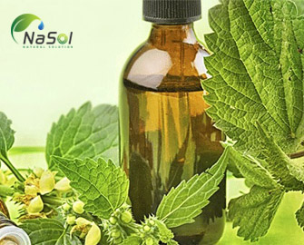 Lợi ích của dầu hạt Tía tô Lợi ích của dầu hạt Tía tô