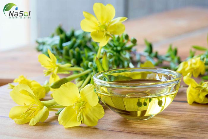 dầu hoa anh thảo\