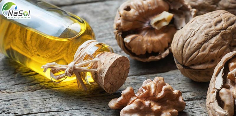 dầu óc chó có tác dụng cho bệnh tim mạch