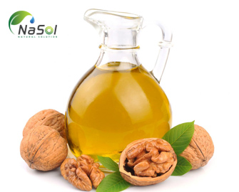 Lợi ích của dầu óc chó 