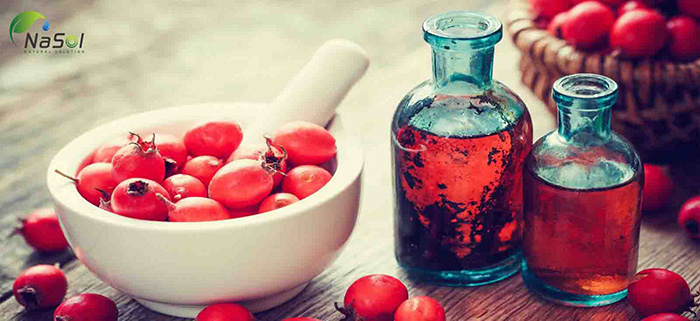 7 tác dụng của chiết xuất thông đỏ