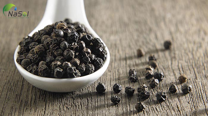 hati tiêu đen giúp cải thiện lượng đường trong máu