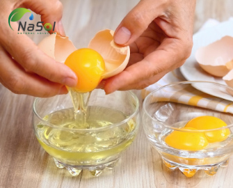 Nghiên cứu tác dụng bảo vệ của kháng thể IGY kháng vi khuẩn tả và kháng độc tố tả chuột nhắt trắng sơ sinh  Nghiên cứu tác dụng bảo vệ của kháng thể IGY kháng vi khuẩn tả và kháng độc tố tả chuột nhắt trắng sơ sinh