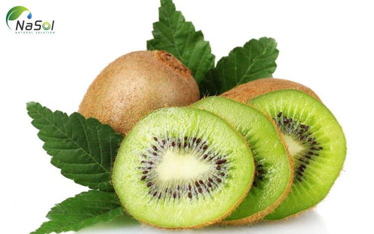 kiwi tăng cường hệ thống miễn dịch