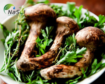 Lợi ích sức khỏe của nấm Agaricus Blazei