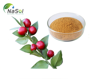 Butcher's Broom (cây Đậu chổi) và những lợi ích bất ngờ