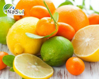 Lợi ích sức khỏe của Hesperidin