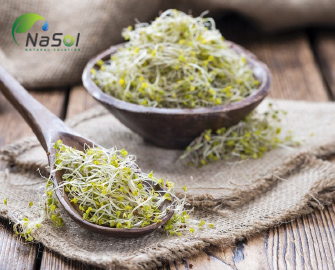 Sulforaphane: Lợi ích, tác dụng phụ và nguồn thực phẩm Sulforaphane: Lợi ích, tác dụng phụ và nguồn thực phẩm
