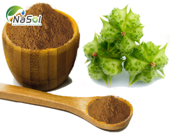 Lợi ích của Bạch tật lê (Tribulus Terrestris) Lợi ích của Bạch tật lê (Tribulus Terrestris)