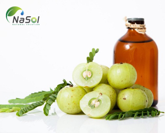 Lợi ích của dầu Amla