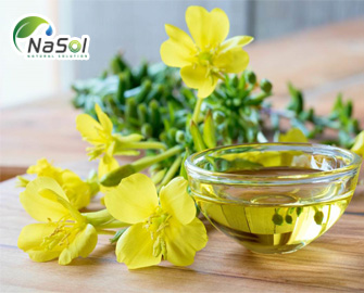 10 lợi ích của dầu hoa anh thảo  (Evening Primrose Oil 9% GLA) và cách sử dụng 10 lợi ích của dầu hoa anh thảo  (Evening Primrose Oil 9% GLA) và cách sử dụng