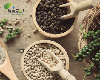 10 lợi ích sức khỏe của hạt tiêu đen (Black pepper) 10 lợi ích sức khỏe của hạt tiêu đen (Black pepper)