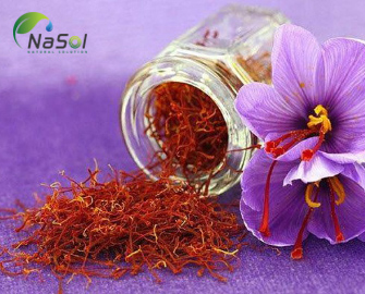10 lợi ích sức khỏe ấn tượng của nghệ tây (Saffron) 10 lợi ích sức khỏe ấn tượng của nghệ tây (Saffron)