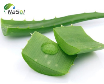 7 lợi ích của nha đam