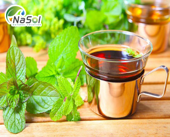 Lợi ích sức khỏe của Tía tô đất (Lemon Balm)