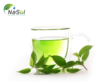 10 lợi ích đã được chứng minh của trà xanh 10 lợi ích đã được chứng minh của trà xanh