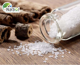 8 lợi ích của vỏ cây mộc lan cho sức khỏe