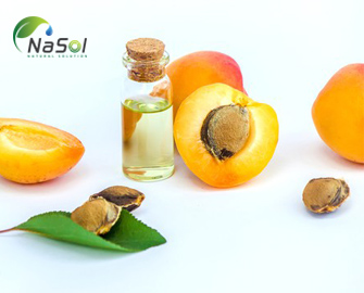 Lợi ích sức khỏe của dầu hạt Mơ