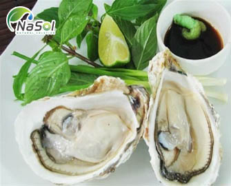 Lợi ích và lưu ý khi sử dụng Hàu