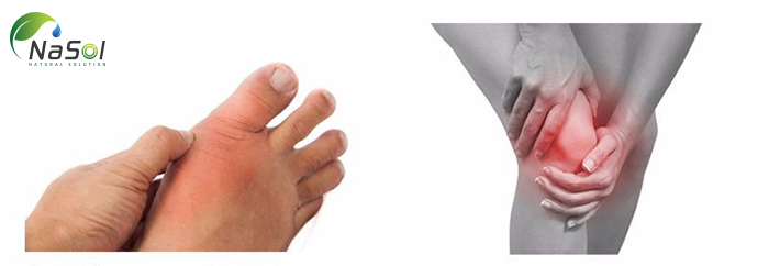 tác dụng điều trịn viêm khớp của N-acetylglucosamin