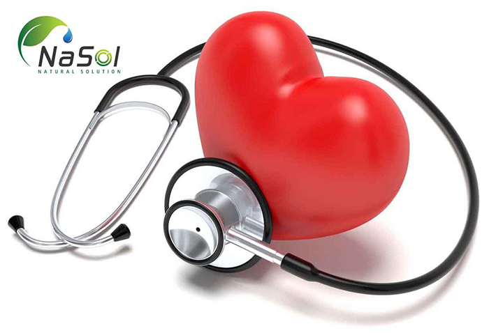 Tăng cường sức khỏe tim mạch