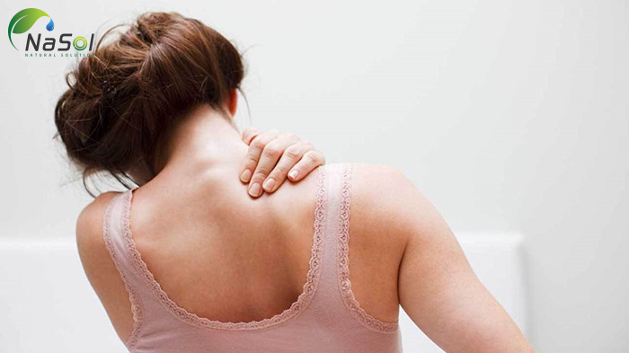 msm giảm đau khớp