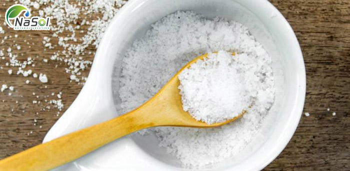 msm methylsulfonylmethane