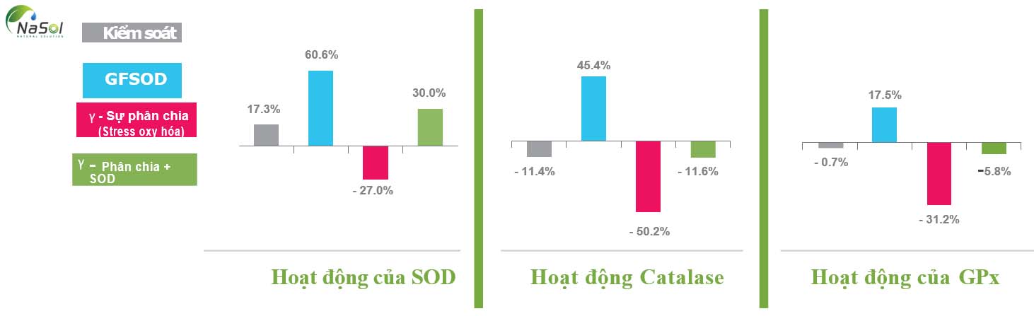 Mức độ của các enzym chống oxy hóa ở chuột được cho ăn SOD sau 28 ngày