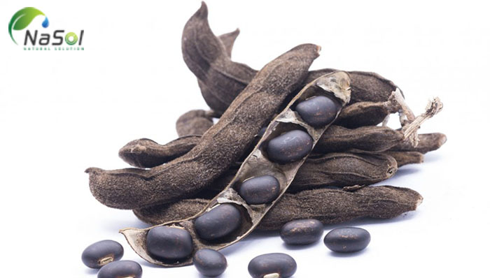 mucuna