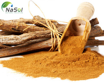 Nguyên liệu cam thảo (Licorice) và những lợi ích cho sức khoẻ