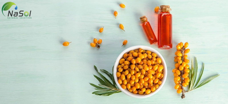 nguyên liệu dầu hắc mai biển