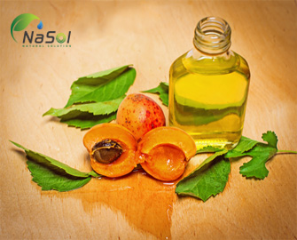 Nguyên liệu dầu hạt quả Mơ