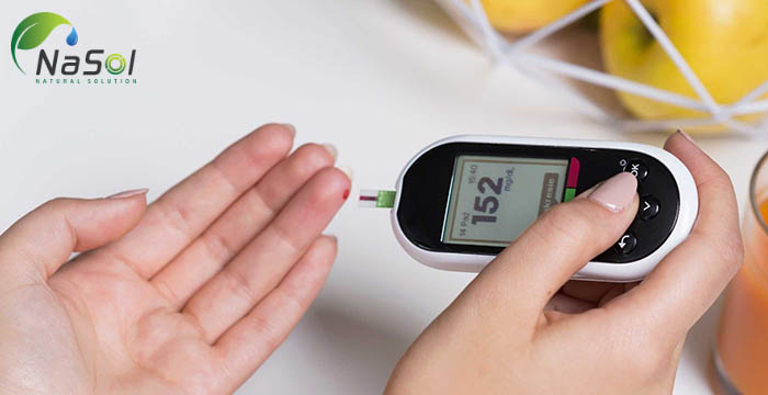 Nguyên liệu gymnema sylvestre giúp hạ đường huyết