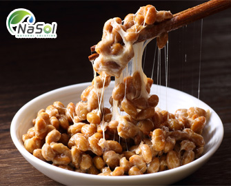 Nguyên liệu Nattokinase Nguyên liệu Nattokinase