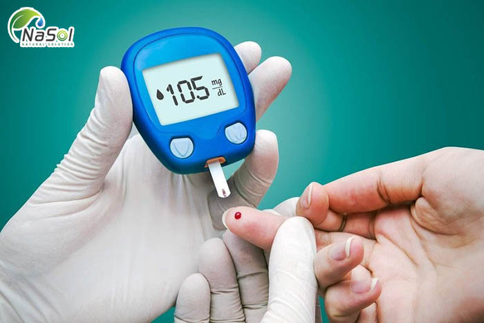 Prunella Vulgaris hỗ trợ điều trị tiểu đường