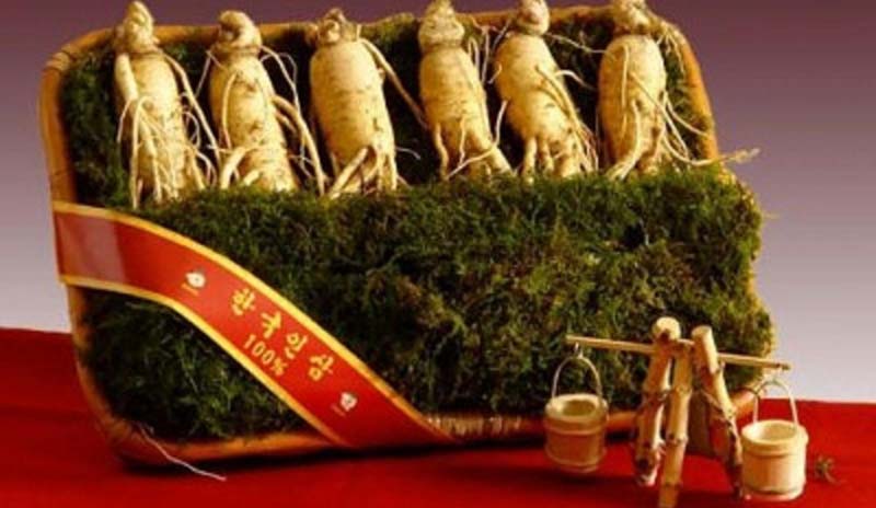 nhân sâm là chất chống oxy hóa tốt chống viêm