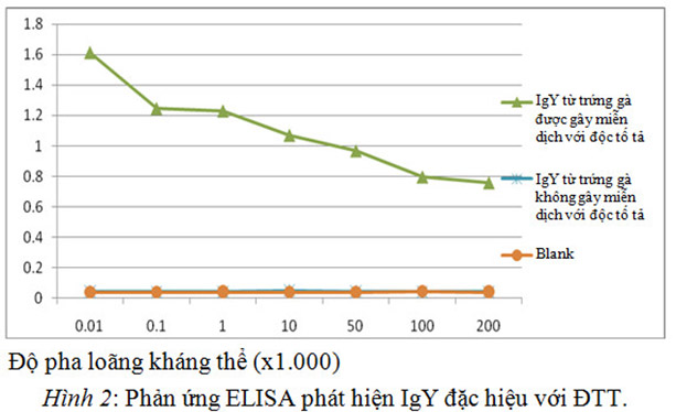 phản ứng elisa phát hiện igy đặc hiệu với đtt
