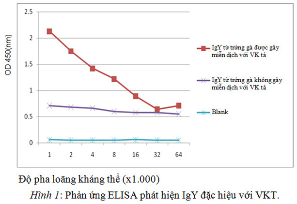 phản ứng elisa phát hiện igy đặc hiệu với vkt