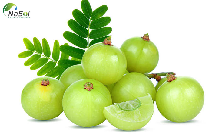 quả amla