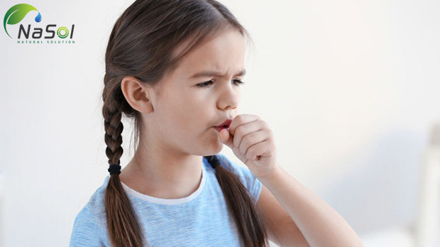 shatavari có tác dụng giảm ho