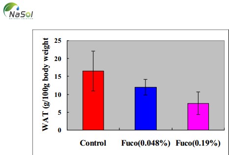 tác dụng chống béo phì của fucoxanthin
